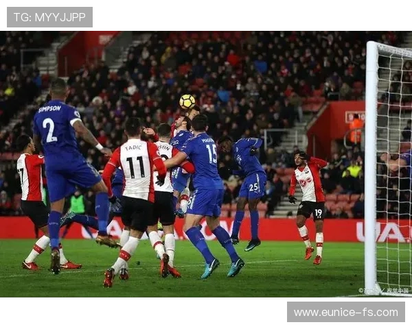 图卢兹俱乐部崛起之路：从法甲新兴力量到欧洲赛场的黑马